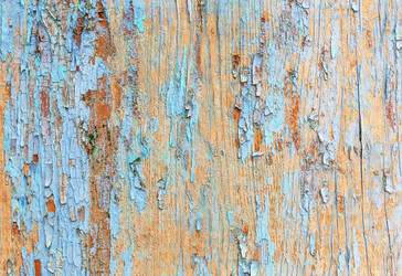 Similar image 13074529