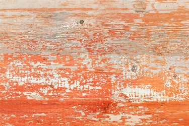 Similar image 13074530