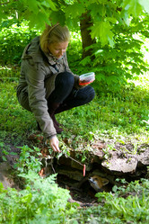 Similar image 13074792