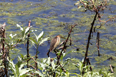 Similar image 13074260