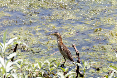 Similar image 13074262