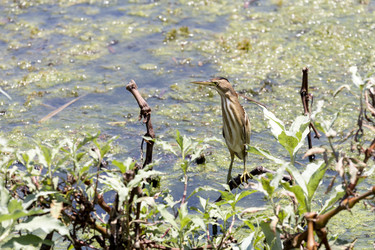 Similar image 13074263