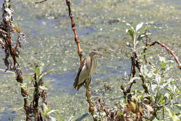 Similar image 13074264