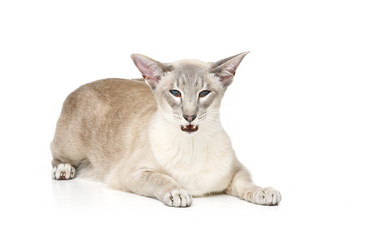 Similar image 13111904