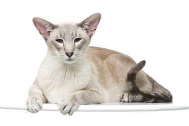 Similar image 13111936