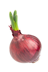 Similar image 13074439