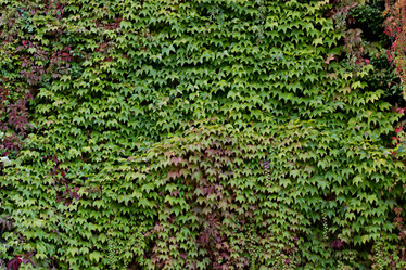 Similar image 13074443