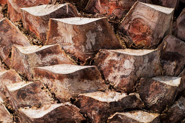 Similar image 13074447