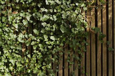 Similar image 13074449