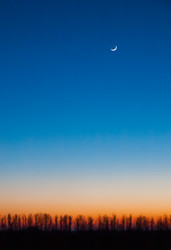 Similar image 13074454