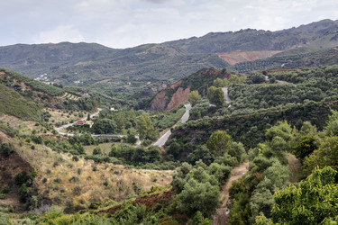 Similar image 13074268