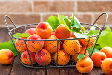 Similar image 13073142