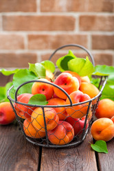 Similar image 13073144