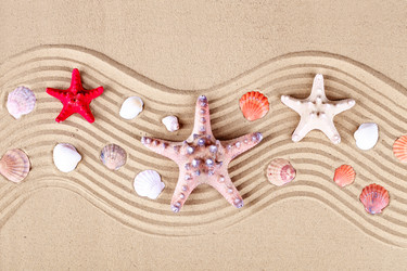 Similar image 13075265