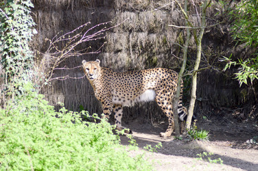 Similar image 13074059