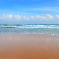 Similar image 13081368