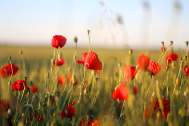 Similar image 13077918