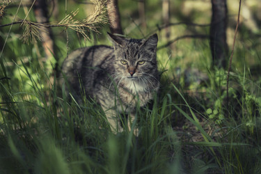 Similar image 13075169