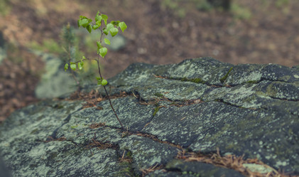 Similar image 13075170