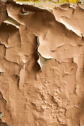 Similar image 13074356