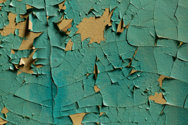 Similar image 13074357