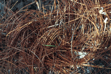 Similar image 13074362