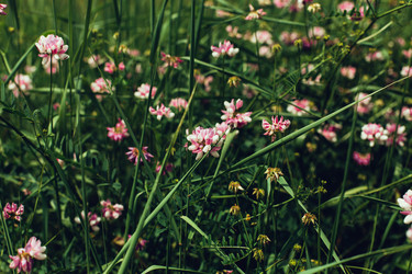 Similar image 13074364