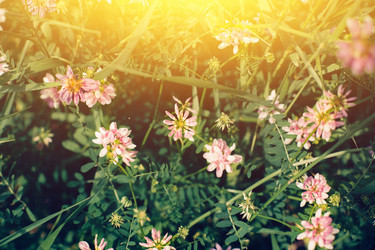 Similar image 13074366