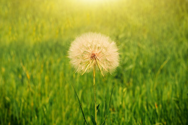 Similar image 13074367