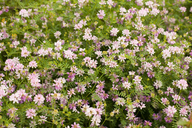 Similar image 13074398