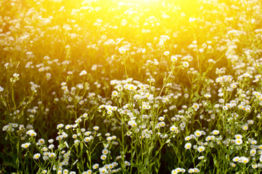 Similar image 13074400