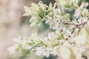 Similar image 13082373