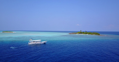 Similar image 13074437