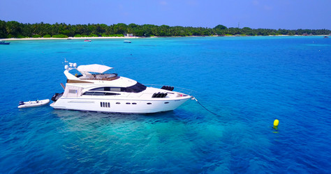 Similar image 13074456