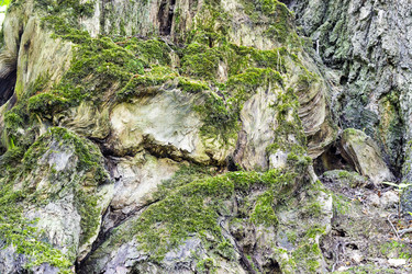 Similar image 13074550