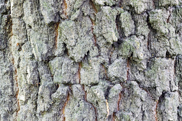 Similar image 13074806