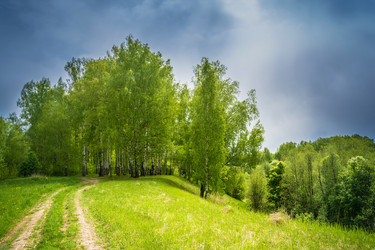 Similar image 13104506