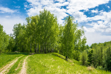 Similar image 13104507