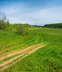 Similar image 13104509