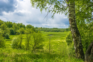 Similar image 13109506