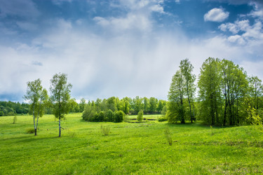 Similar image 13109536