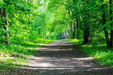 Similar image 13074832