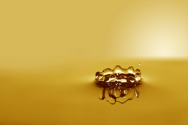 Similar image 13074407