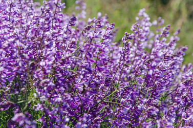 Similar image 13074834