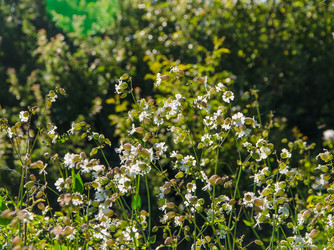 Similar image 13074835