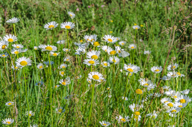 Similar image 13074837