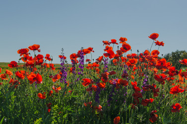 Similar image 13074881