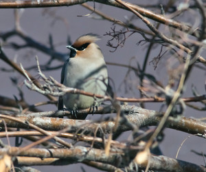 Similar image 13074577