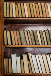 Similar image 13081522