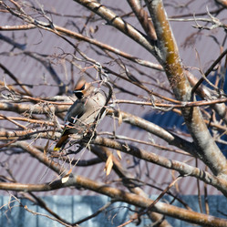 Similar image 13074596